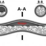 Батериите в апартаментите приемат температурни стандарти