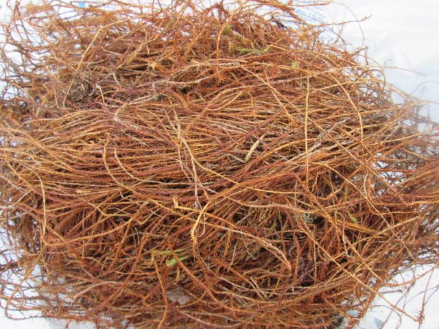 Wie isoliere ich ein Holzblockhaus? - HITZE