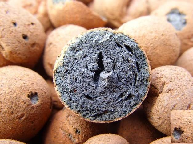 Was-ist-expandierter Ton-Eigenschaften-Produktionsanwendung-und-Preis-von expandiertem Ton-2