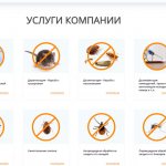 Дератизация на дезинсекция