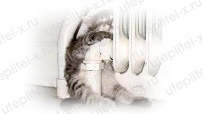 Екологична изолация за дома