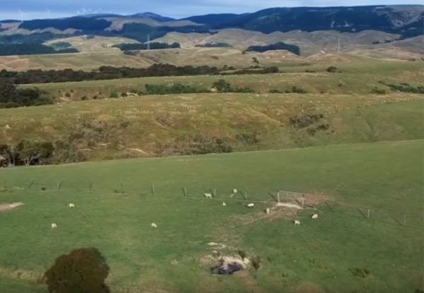 Peder John'un çiftliği