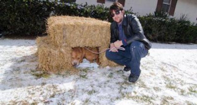 Как и какво да изолираме будка за зима вътре в снимката