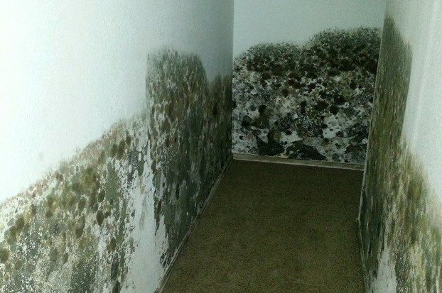 Comment se débarrasser de l'humidité dans un appartement ou une maison: appareils et méthodes