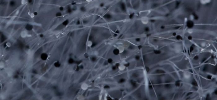 Comment se débarrasser de l'humidité dans un appartement ou une maison: appareils et méthodes