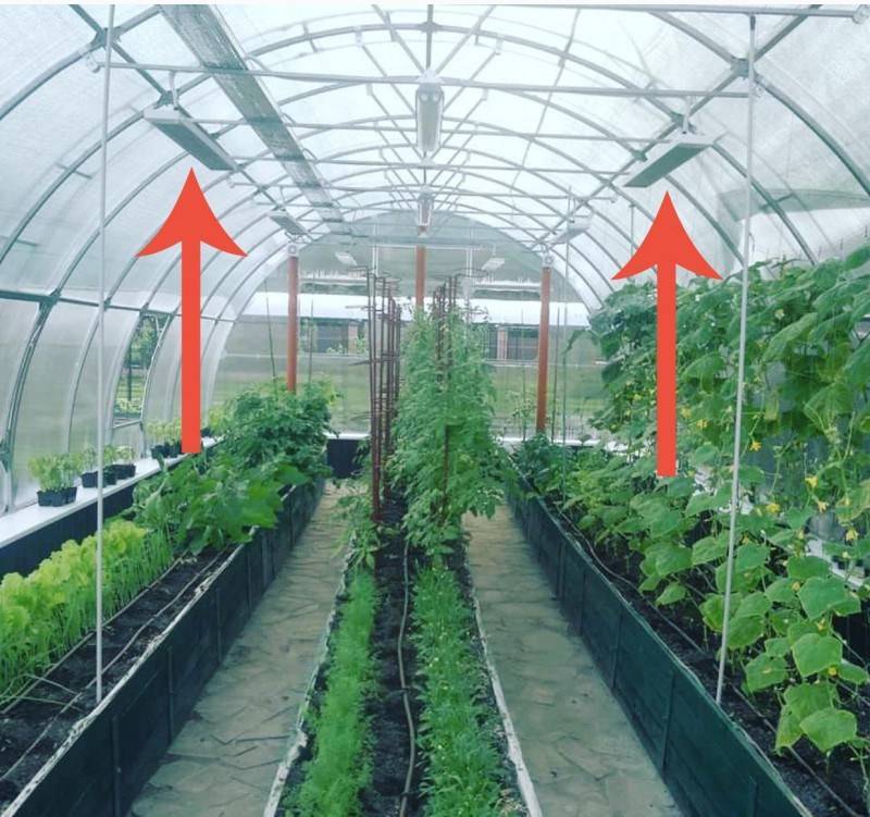 Как да изберем инфрачервен нагревател за оранжерии