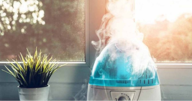 Как да изберем овлажнител: решаване кой е по-добър