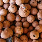 експандирана глина като преглед на изолацията на пода