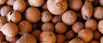 разширена глина като преглед на изолацията на пода