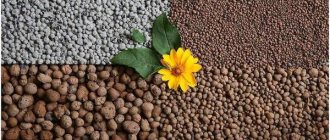 Разширена глина като преглед на изолацията на пода. Свойства на експандираната глина като изолация