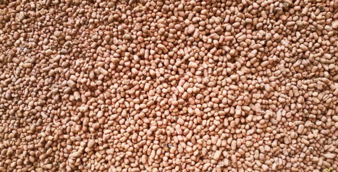 argila expandida - nascida em vulcão