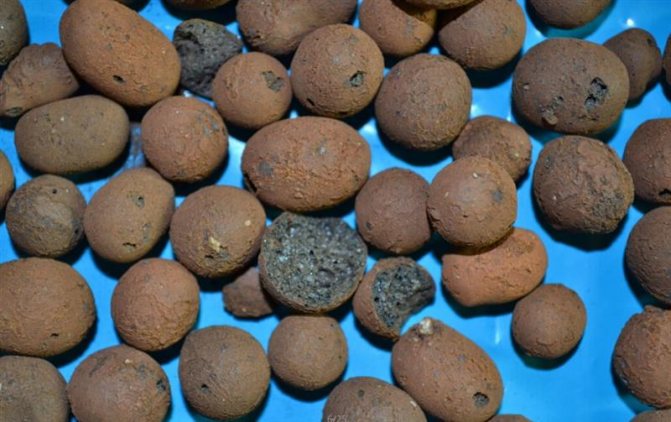 argila expandida - isolamento