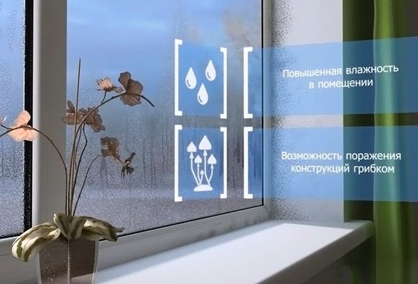 Condensation sur les fenêtres et apparition de champignons