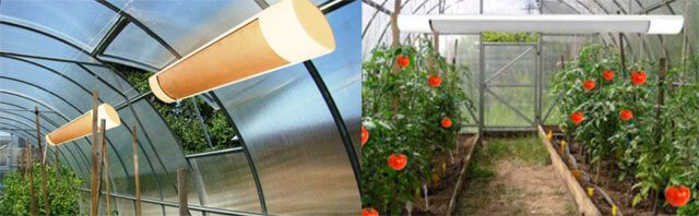 Възможно ли е да се поставят инфрачервени нагреватели за оранжерия