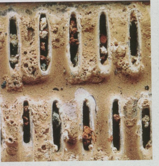 варовик в радиатора