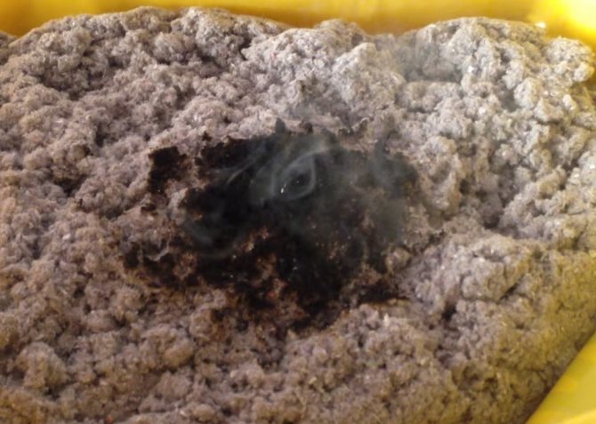 Пожарна безопасност на ековата