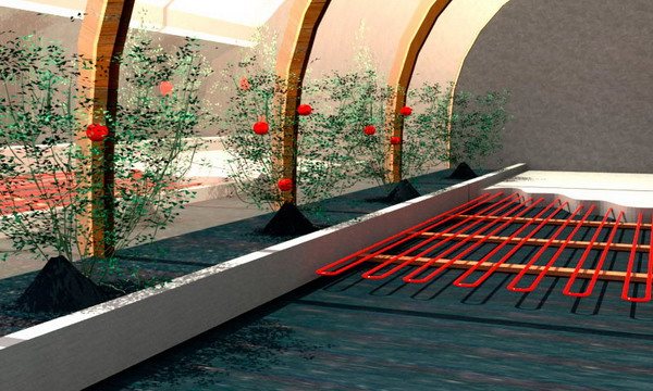 Пример за монтаж на лента в оранжерия