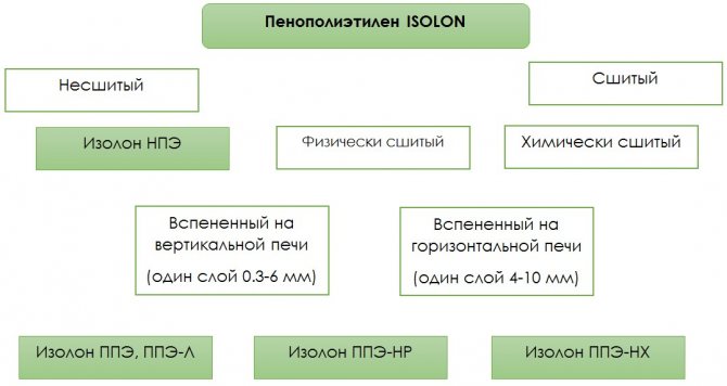 изолонна структура
