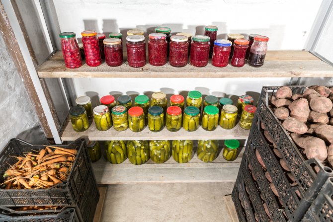 Температурата в мазетата на жилищни сгради. Осигуряване на оптимална температура в избата. Прости начини за регулиране на температурата