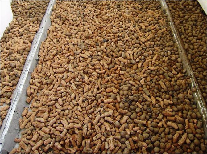 Isolation thermique du sol avec de l'argile expansée