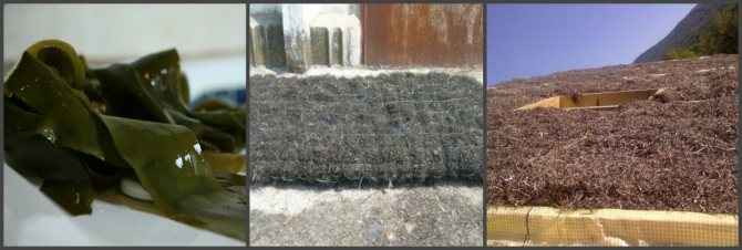 Изолирайте пода в дървена къща със собствените си ръце