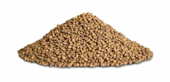 Изолация за ламинат на бетонен под: видове и монтаж