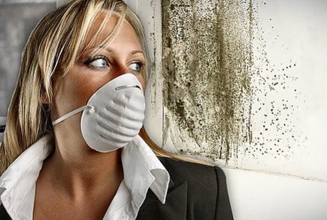 É perigoso viver em quartos isolados com lã mineral por dentro