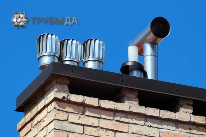 Arten und Formen von Pilzen zur Belüftung