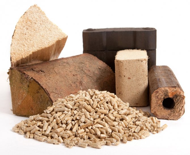 Пещни горива